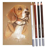 Worison Classic Soft Charcoal Pastel Pencil Set of 4