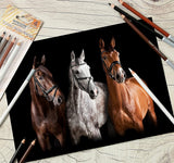 Worison Classic Soft Charcoal Pastel Pencil Set of 4