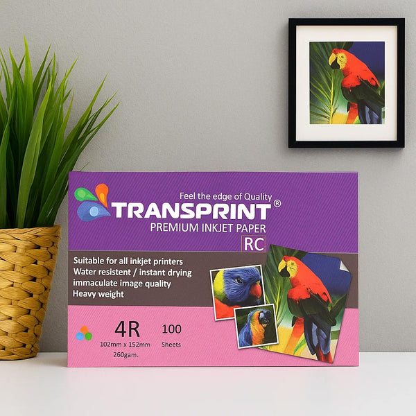 Transprint premium inkjet paper box with parrot images on a gray wall background