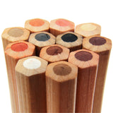Mont Marte Skin Tints Pastel Pencils Signature Pack of 12