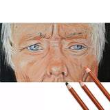 Worison Skin Tone Pastel Color Pencil Pack of 12 - thestationerycompany.pk