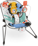 Fisher-Price Baby’s Bouncer