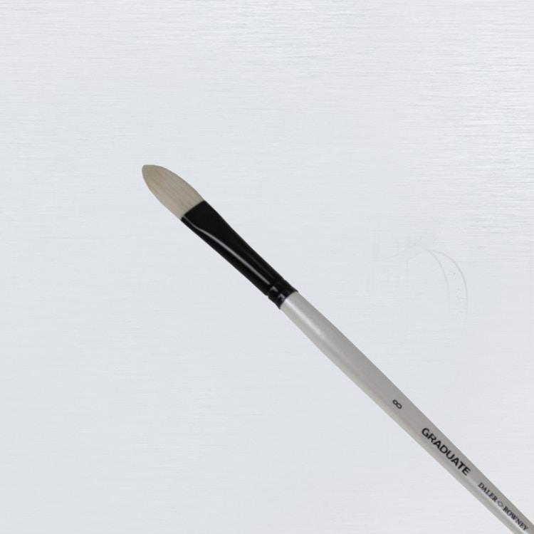 Daler Rowney Graduate Long Handle Bristle Filbert Brushes - thestationerycompany.pk