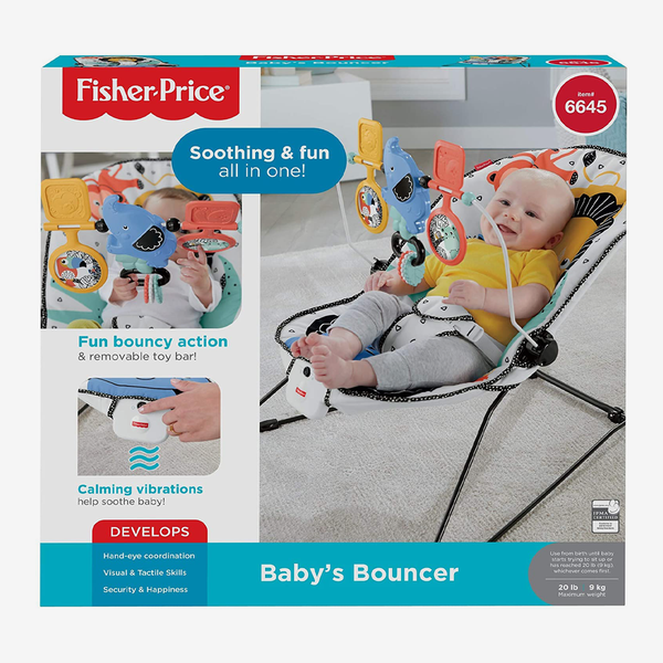 Fisher-Price Baby’s Bouncer