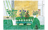 Sakura Transparent Watercolors 12 Pcs Tubes - thestationerycompany.pk
