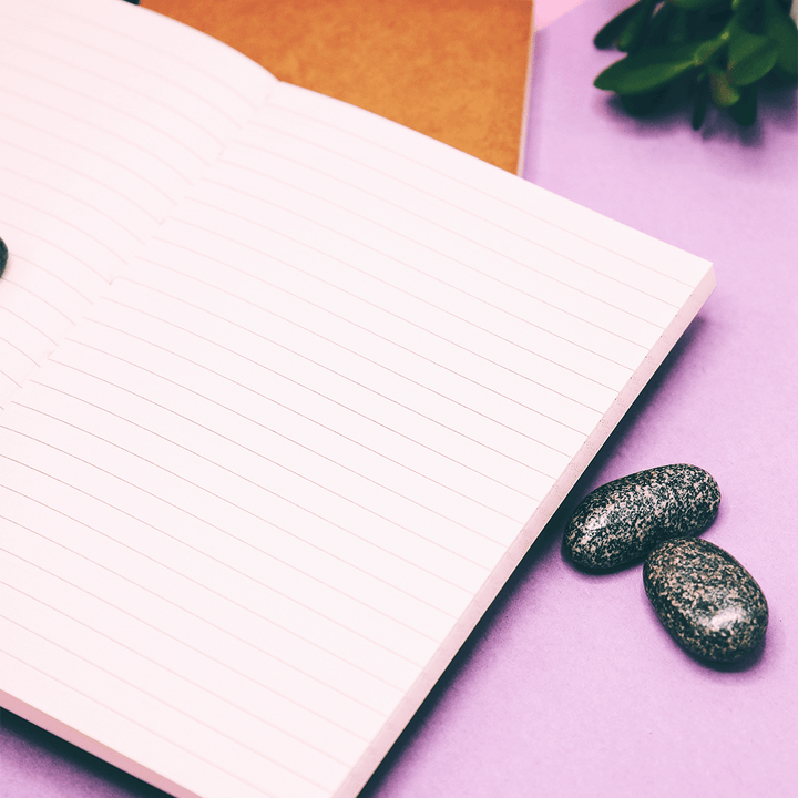 Travel Notebook