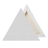 Triangle Shape Artist Canvas