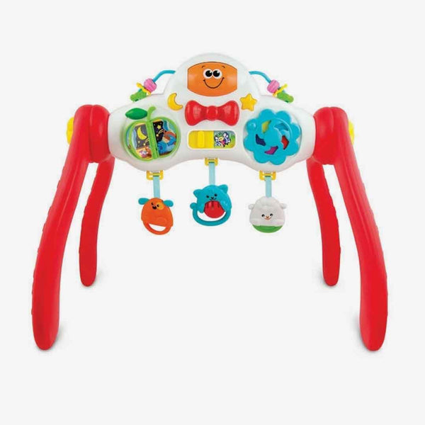 Winfun Grow-with-Me Melody Gym
